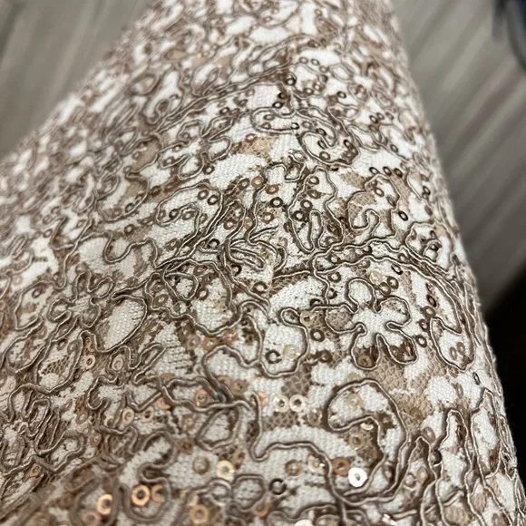 Alex Evenings Womens Long Sleeveless Dress with Custom Etsy Shawl - Picture 2 of 7